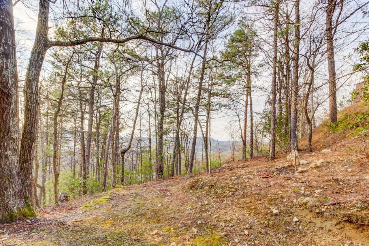 Misty View Cabin Hatchertown Extérieur photo