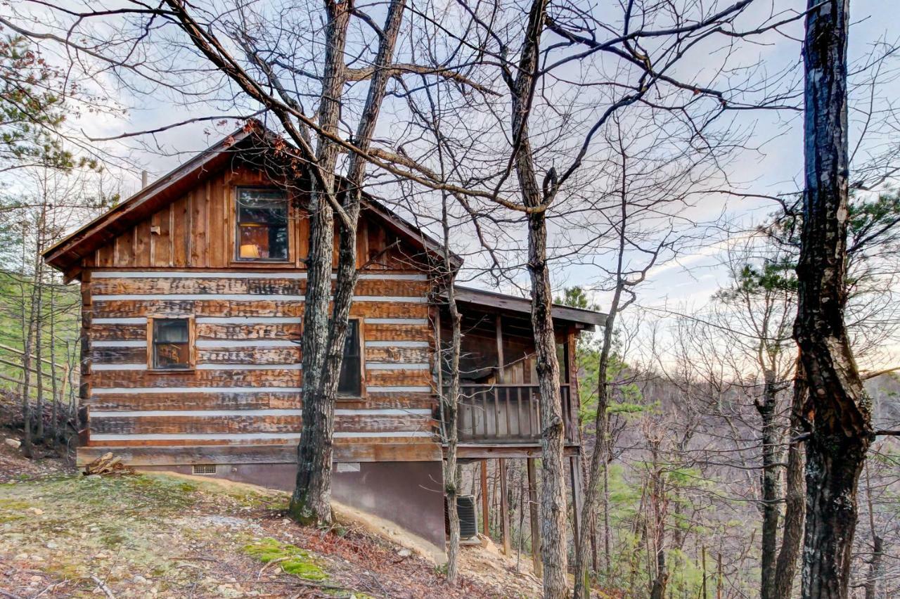 Misty View Cabin Hatchertown Extérieur photo