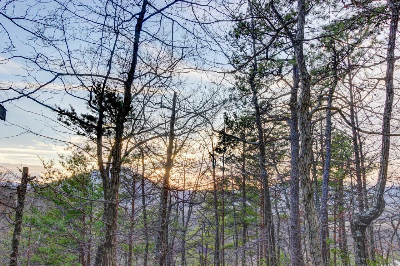 Misty View Cabin Hatchertown Extérieur photo