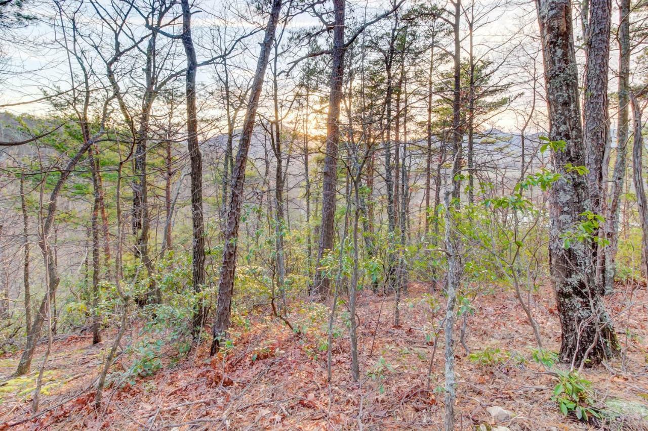 Misty View Cabin Hatchertown Extérieur photo