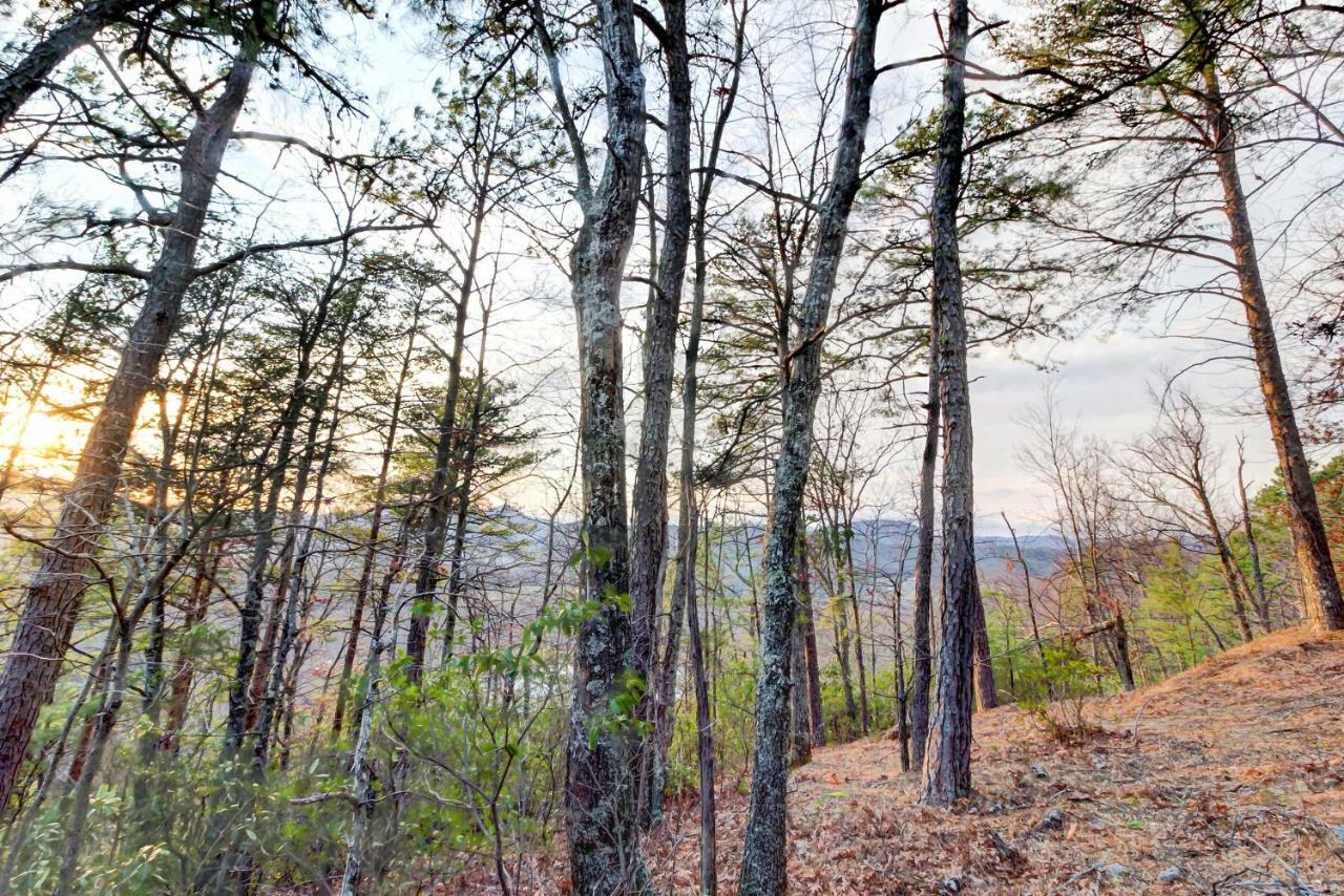 Misty View Cabin Hatchertown Extérieur photo